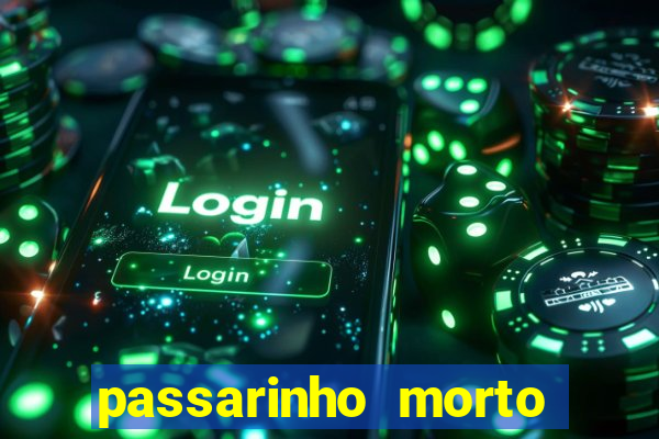 passarinho morto significado espiritual